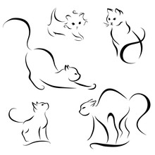 Cat Abstract Lines On A White Background Vector