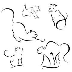 cat abstract lines on a white background vector