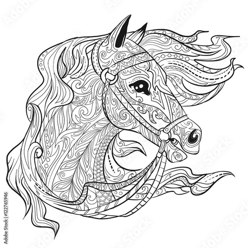 Download Hand Drawn Doodle Horse Face Page Animal Head Illustration For Adult Coloring Book Stock Vector Adobe Stock
