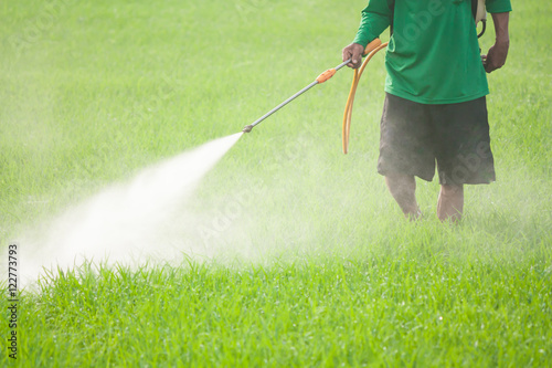 Fotomural farmer spraying pesticide in the rice field