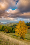 Fototapeta Tęcza - Idyllic autumn scenery in remote mountain area in Transylvania