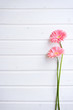 canvas print picture - Two Pink gerber daisy flowers on  wooden backgraund. Gerbera and decorative heart. Flat lay, top view