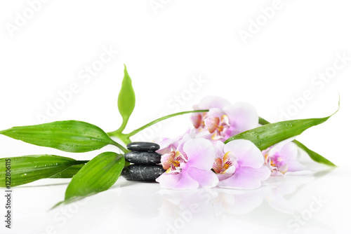 Obraz w ramie Background of a spa with stones, orchid flower and a sprig of green bamboo