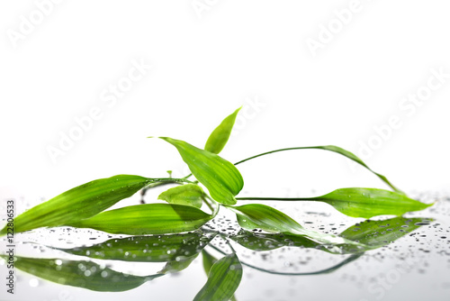 Naklejka na szybę Spa Background with Bamboo and Water