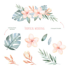 Tropical Wedding Floral Set.Beautiful Soft Floral Collection With Leaves And Flowers(tropical Leaves,plumeria).Watercolor Individual Elements 1 Pastel Colored Bouquet.Perfect For Wedding,invitations.
