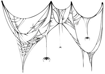 Wall Mural - black spider and torn web on white background