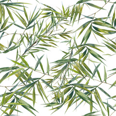 Watercolor illustration of bamboo leaves , seamless pattern on white background