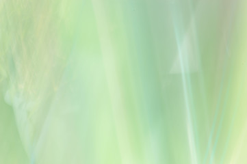 Wall Mural - blurred abstract background. pastel green.