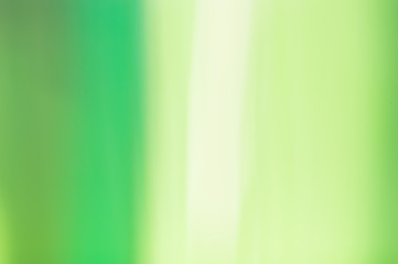 Wall Mural - blurred abstract background. pastel green.