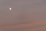 Fototapeta Zachód słońca - the moon at sunset