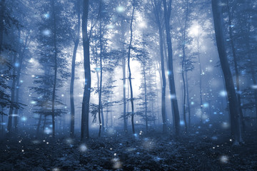 Wall Mural - Artistic blue color foggy forest tree fairytale landscape with abstract fireflies. 