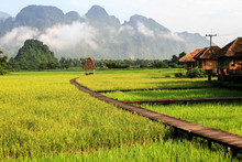 Green Rice Fields And Mountains, Vang Vieng, Laos