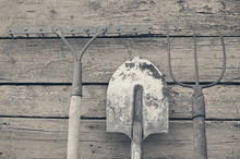 Shovel, Rake And Pitchfork Against The Background Painted Wooden Wall, Retro Toning