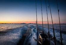 Fishing Boat With Wake At Dawn Sea Of Cortez