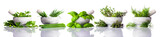 Pestle and Mortar with Green Herbs on White Background