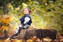 Beautiful Baby Boy One Years Old Crawling In Fallen Leaves - Autumn Scene. Toddler Have Fun Outdoor In Autumn Yellow Park