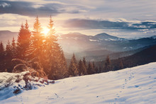 Landscape Of Sunny Day In Winter Mountains .