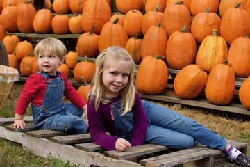 adorable brother and sister siblings sitting with pumpkins at farm in october fall autumn