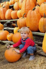 adorable toddler boy sitting with pumpkins at farm in october fall autumn