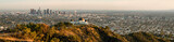 Fototapeta  - Los Angeles panorama