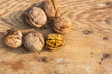 Walnut