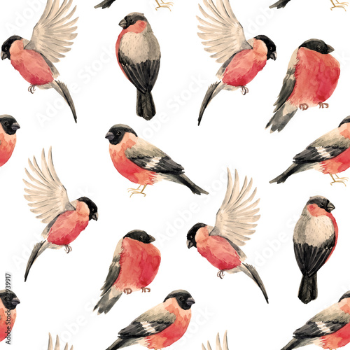 Cuadros en Lienzo Watercolor bullfinch bird pattern