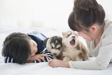 Wall Mural - Asian children playing with puppies