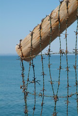 wooden pole with barbed wire