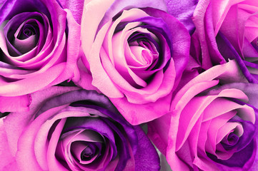 Fotomurales - Pink rose bouquet