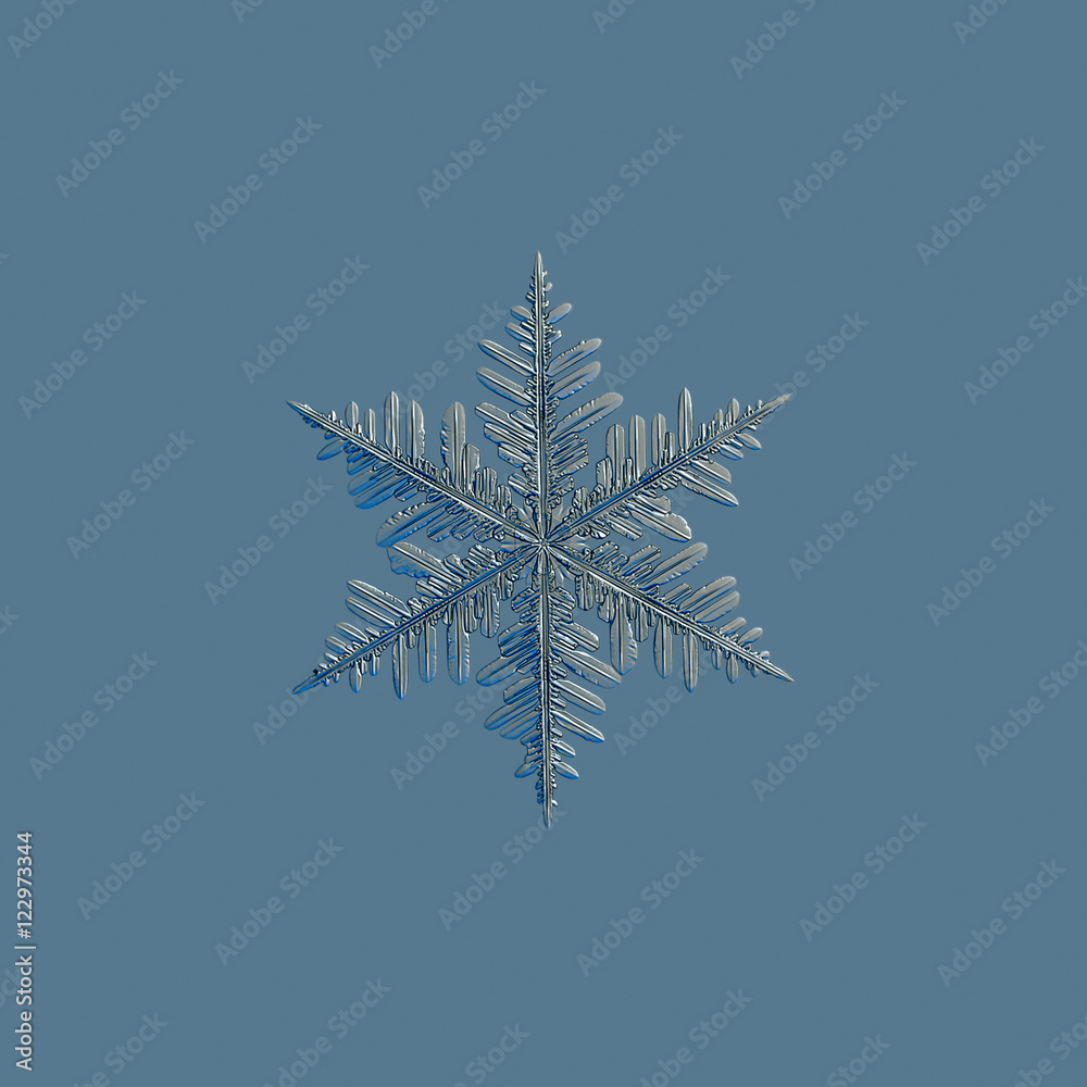 Real snowflake photo (medium size fernlike stellar dendrite), isolated on uniform blue background