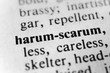 Harum-scarum