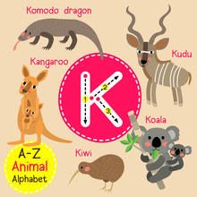 K Letter Tracing. Kangaroo. Kiwi. Koala. Komodo Dragon. Kudu. Cute Children Zoo Alphabet Flash Card. Funny Cartoon Animal. Kids Abc Education. Learning English Vocabulary. Vector Illustration.