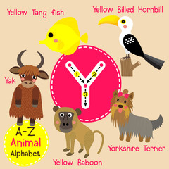 Wall Mural - Y letter tracing. Yak. Yorkshire Terrier. Yellow Baboon. Tang Fish. Cute children zoo alphabet flash card. Funny cartoon animal. Kids abc education. Learning English vocabulary. Vector illustration.