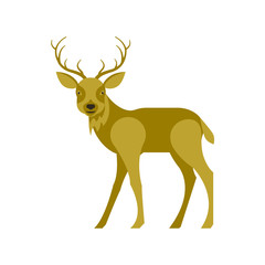  Illustration of reindeer in modern flat design. Isolated on white background. Vector deer eps10