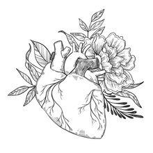 Hand Drawn Vector Illustrations - Human Heart With Flowers And L