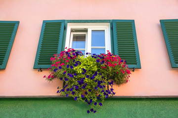 Poster - Tyrolean windows in Kitzbuhel, Austria