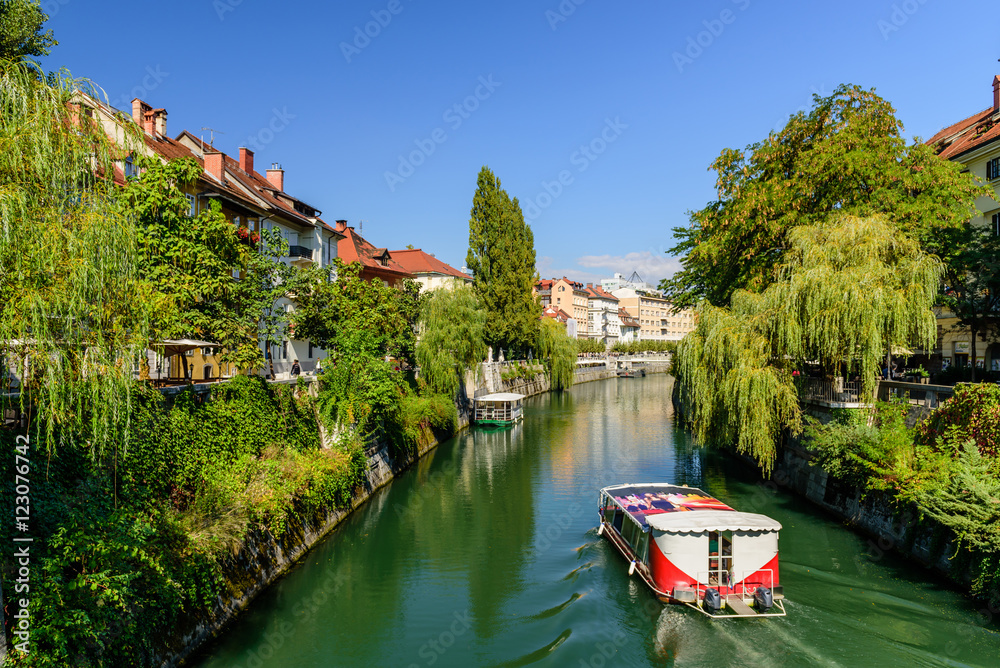 Obraz na płótnie scenic Ljubljanica river with weeping willows on the embankment, Ljubljana, Slovenia. w salonie