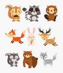  fox rabbit deer squirrel raccoon beaver skunk and bear icons image vector illustration design 