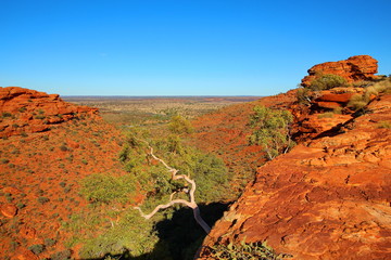 Wall Mural - Kings Canyon, Australia