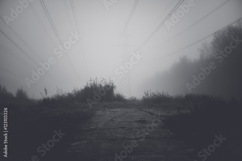 Plakat Linie energetyczne i drogowy opuszczać w mgle w tle las