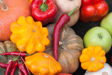 Wall Mural - Vegetables, harvesting