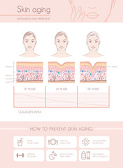 Poster - skin aging