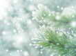 © Leonid Ikan - Winter natural background with pine branches in the frost