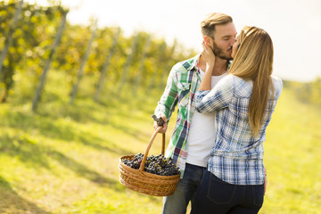 Wall Mural - Photo of a young couple kissing in a vineyard.