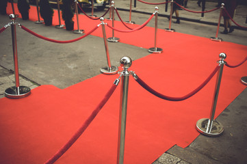 Red Carpet -  is traditionally used to mark the route taken by heads of state on ceremonial and formal occasions