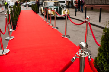 red carpet - is traditionally used to mark the route taken by heads of state on ceremonial and forma