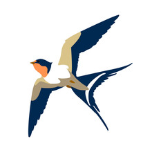Swallow In Flight Vector Illustration Style Flat