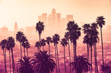 Fototapeta  - Los Angeles skyline with palm trees in the foreground