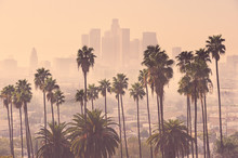 Los Angeles Skyline