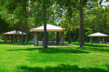 Picnic Tables Area In Beautiful Park With Trees And Green Grass